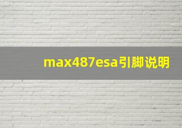 max487esa引脚说明