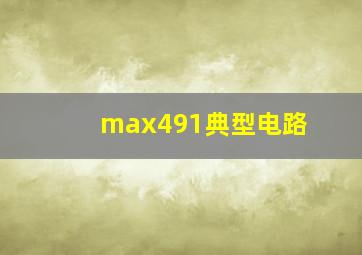 max491典型电路