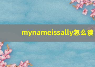 mynameissally怎么读