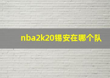 nba2k20锡安在哪个队