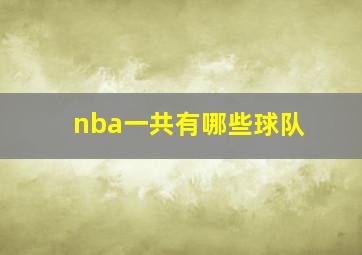 nba一共有哪些球队