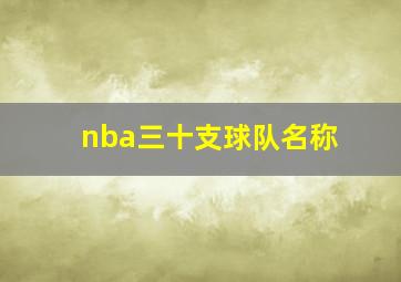 nba三十支球队名称