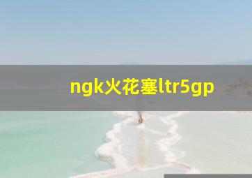 ngk火花塞ltr5gp