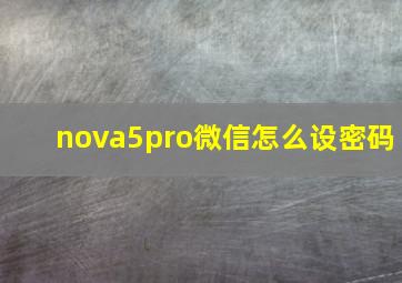 nova5pro微信怎么设密码