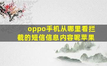 oppo手机从哪里看拦截的短信信息内容呢苹果