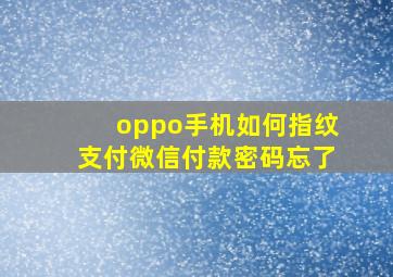 oppo手机如何指纹支付微信付款密码忘了