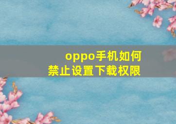 oppo手机如何禁止设置下载权限