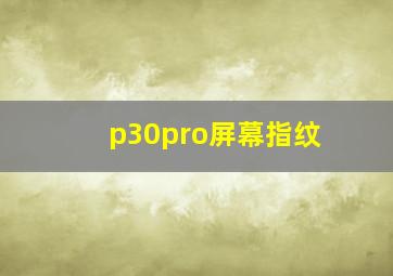 p30pro屏幕指纹