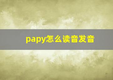 papy怎么读音发音