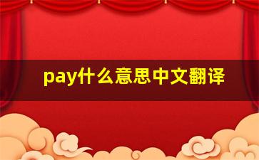 pay什么意思中文翻译