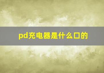 pd充电器是什么口的