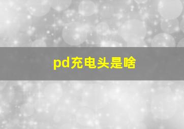 pd充电头是啥