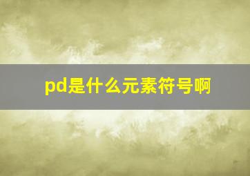 pd是什么元素符号啊