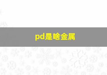 pd是啥金属