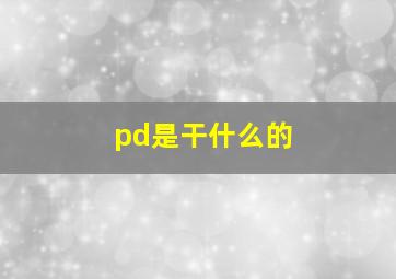 pd是干什么的