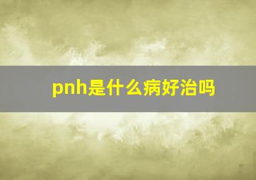 pnh是什么病好治吗