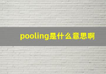 pooling是什么意思啊