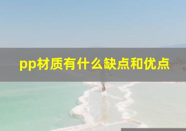 pp材质有什么缺点和优点