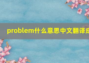 problem什么意思中文翻译成