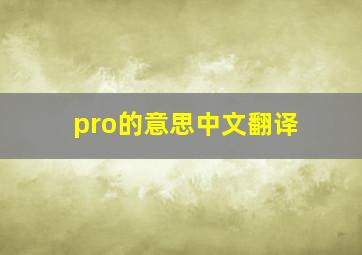 pro的意思中文翻译