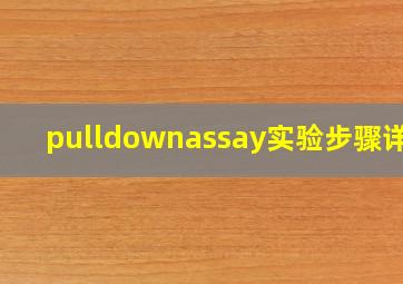 pulldownassay实验步骤详细