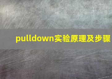 pulldown实验原理及步骤