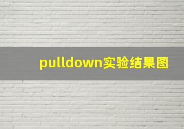 pulldown实验结果图