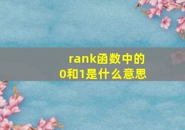 rank函数中的0和1是什么意思