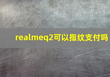 realmeq2可以指纹支付吗