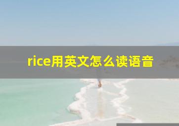 rice用英文怎么读语音