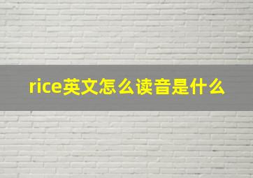 rice英文怎么读音是什么