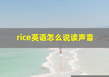 rice英语怎么说读声音