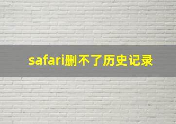 safari删不了历史记录