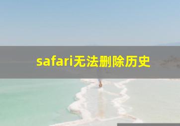 safari无法删除历史