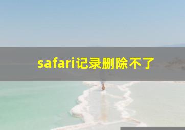 safari记录删除不了