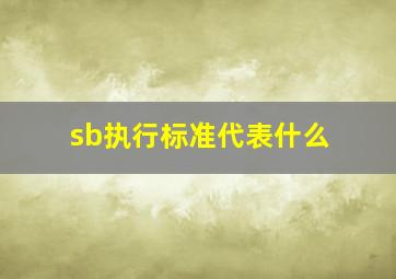 sb执行标准代表什么