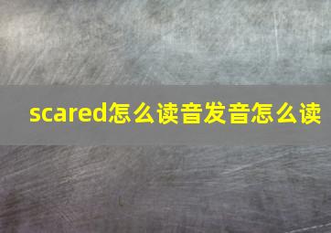 scared怎么读音发音怎么读