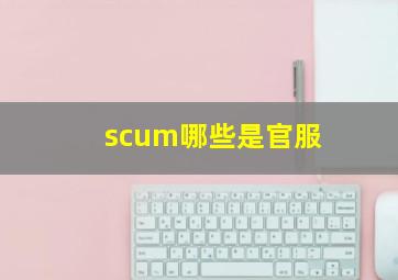 scum哪些是官服