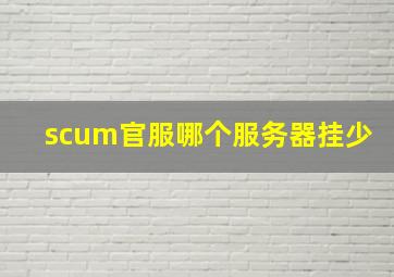 scum官服哪个服务器挂少