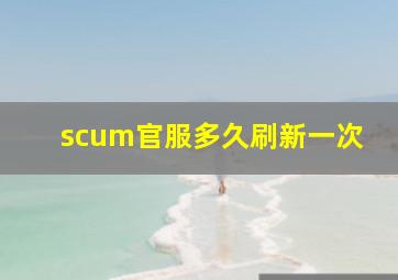 scum官服多久刷新一次