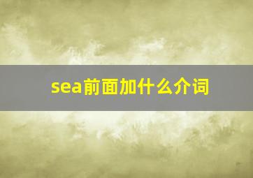 sea前面加什么介词