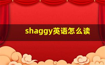 shaggy英语怎么读