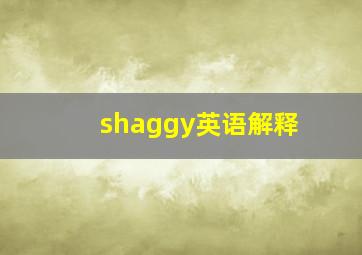 shaggy英语解释