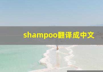 shampoo翻译成中文