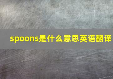 spoons是什么意思英语翻译