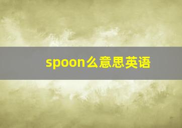 spoon么意思英语