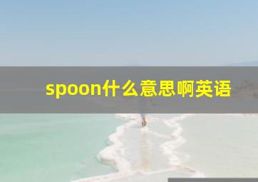 spoon什么意思啊英语