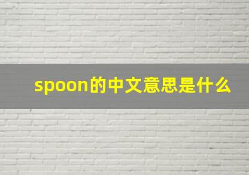 spoon的中文意思是什么