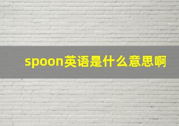 spoon英语是什么意思啊