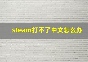 steam打不了中文怎么办